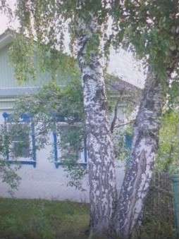 Дом 50 м² на участке 37 сот.