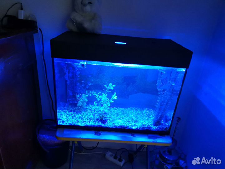 Аквариум