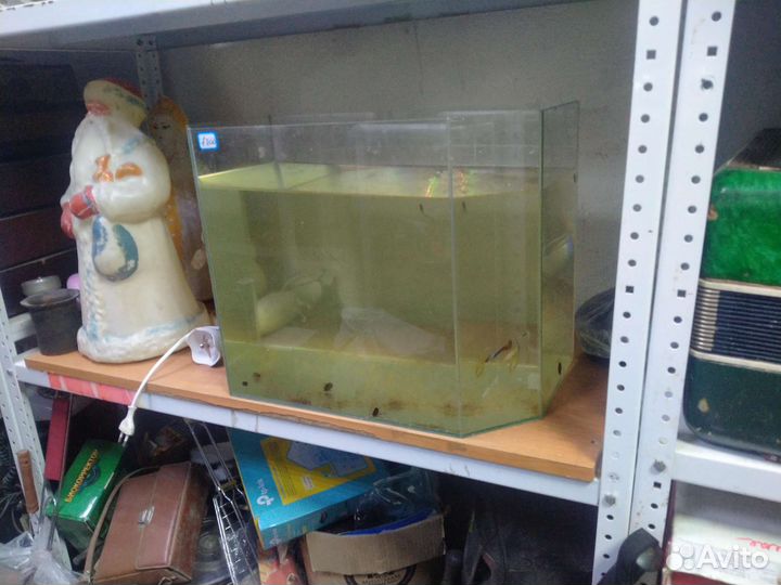 Аквариум и рыбки