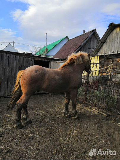 Советский тяжеловоз
