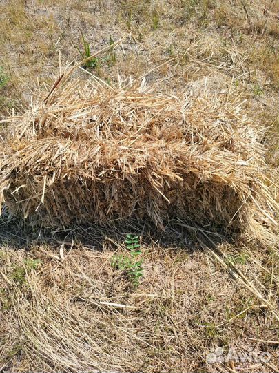 Сено в тюках