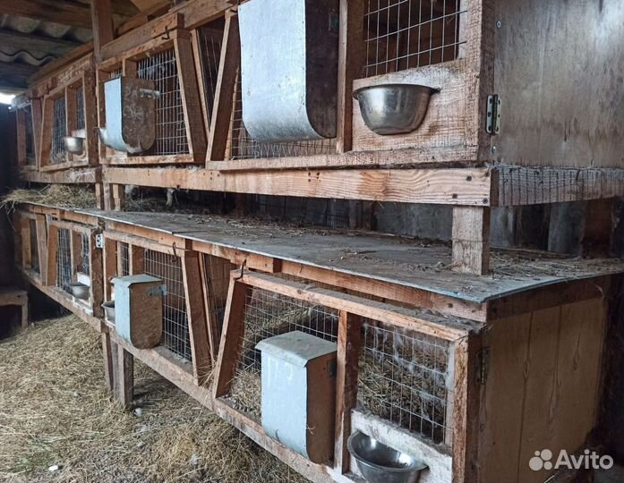 Клетки для кроликов