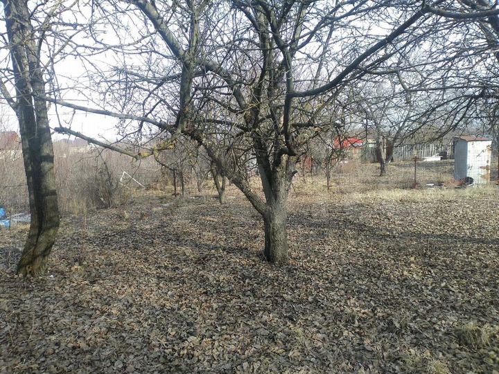 Дача 24 м² на участке 6 сот.