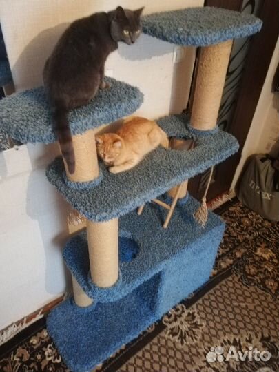 Домик для кошек