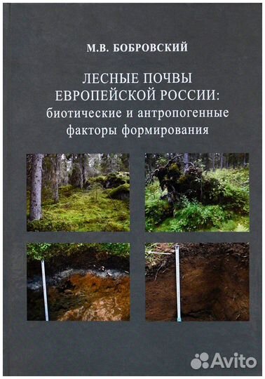 Бобровский. Лесные почвы Европейской России