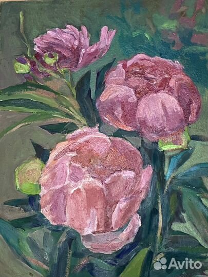 Картина Пионы цветы маслом