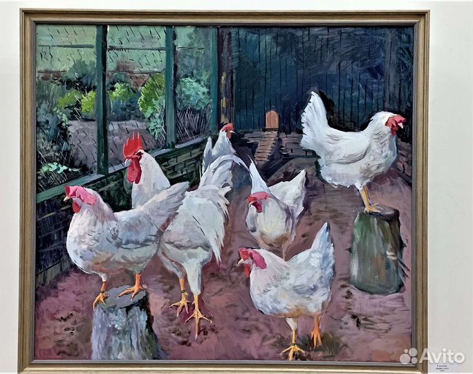 Куры и петухи