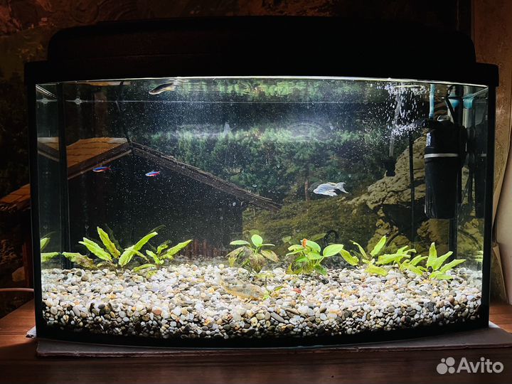 Аквариум 45 литров