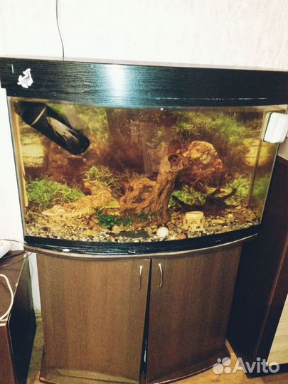 Аквариум с тумбой 120 литров
