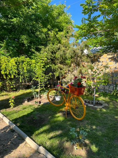 Комната 24 м², 1/1 эт.