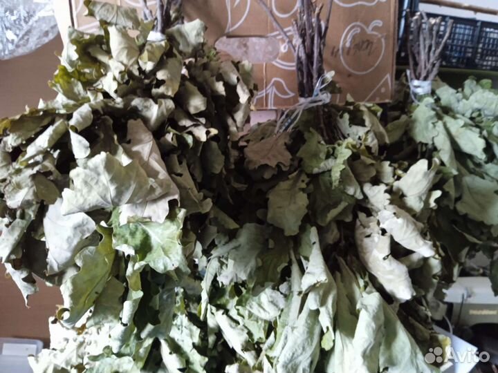 Дубовые веники для бани