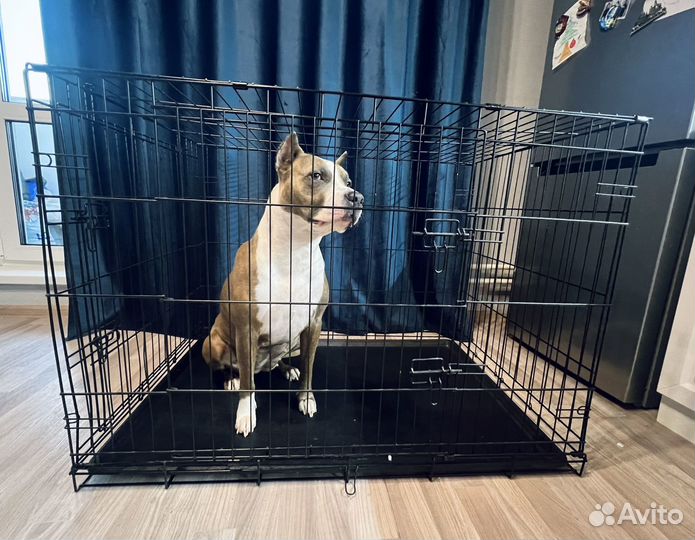 Клетка вольер для большой собаки