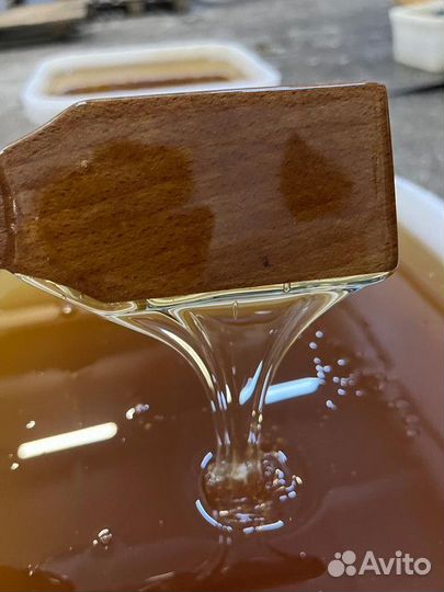 Свежий мёд оптом Цветочный Опт