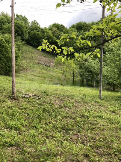 Участок 12 сот. (ИЖС)