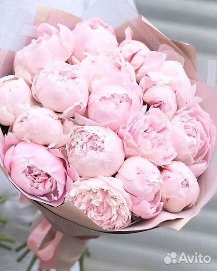 Пионы Розы Доставка