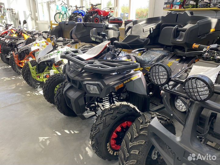 Квадроциклы Promax В наличии