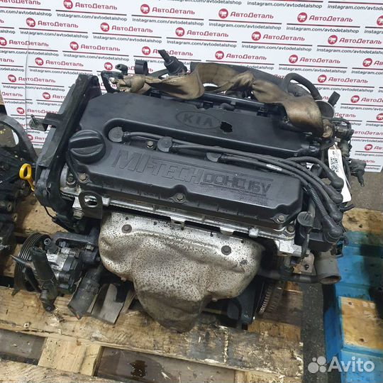 Двигатель контрактный S5D S6D KIA 1.5 1.6
