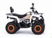 Квадроцикл motax ATV Grizlik 200 Ultra