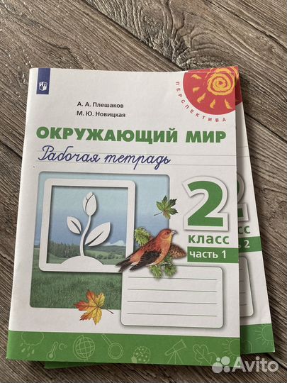 Рабочая тетрадь 2 класс