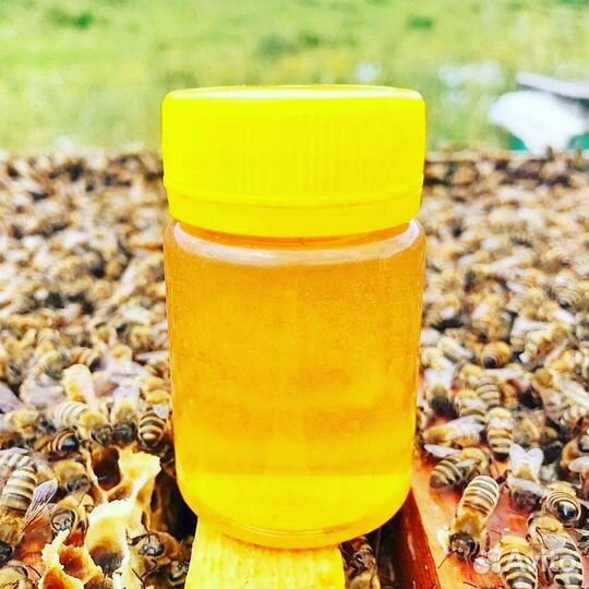 Мед и продукцию пчеловодства