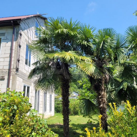 Дом 300 м² на участке 5,5 сот.