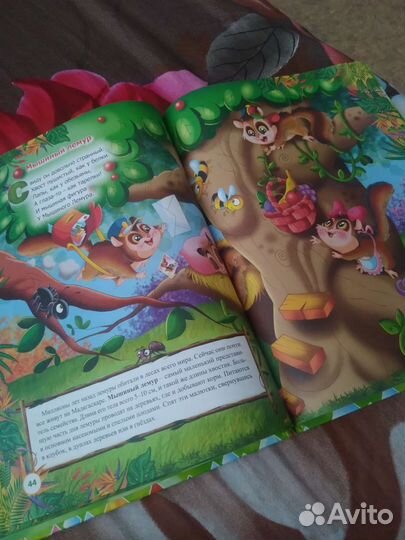 Необыкновенная книга