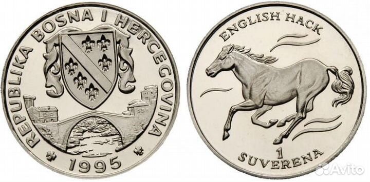 Босния и Герцеговина - английский хакнэ