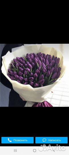 Тюльпаны на 8 марта