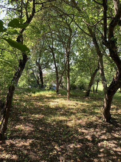 Дом 59,9 м² на участке 18,2 сот.