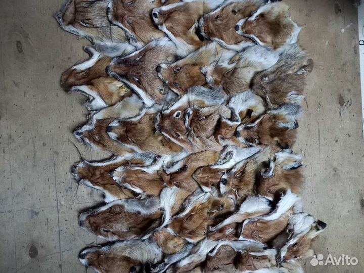 Головки от шкурок