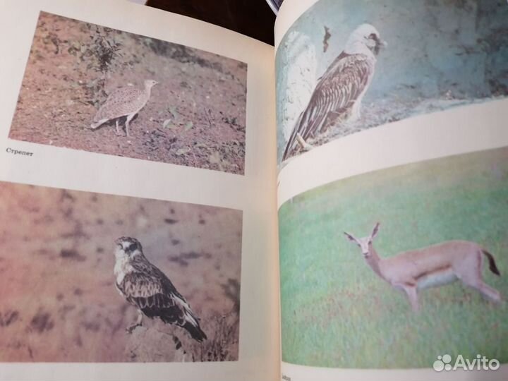 Книга для чтения по охране природы А. Н. Захлебный