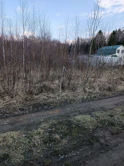 Участок 6 сот. (ИЖС)