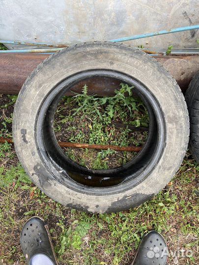 Nokian Tyres Nordman SX 205/55 R16