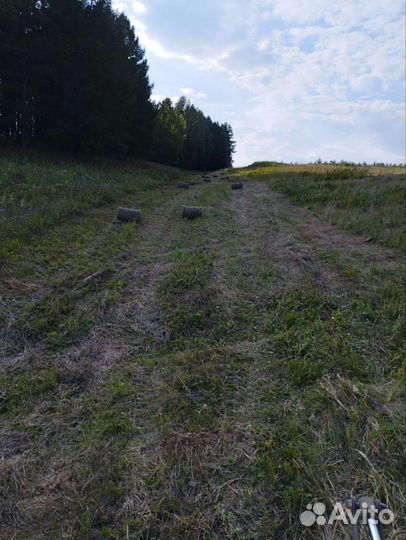 Сено в рулонах