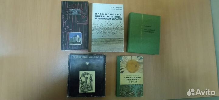 Книги про Челябинск