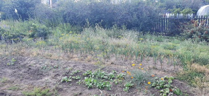 Участок 6,8 сот. (СНТ, ДНП)