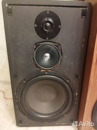 Мощные самодельные колонки