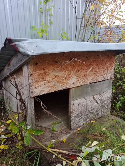 Будка для собаки (бесплатно)