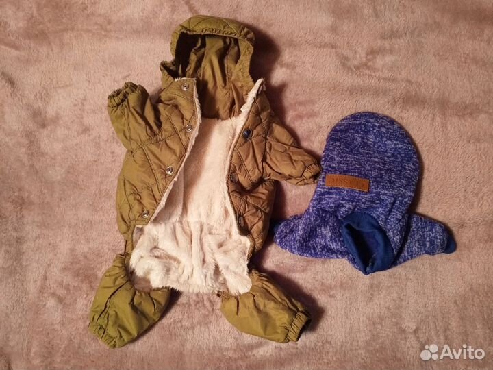 Одежда для собак мелких пород