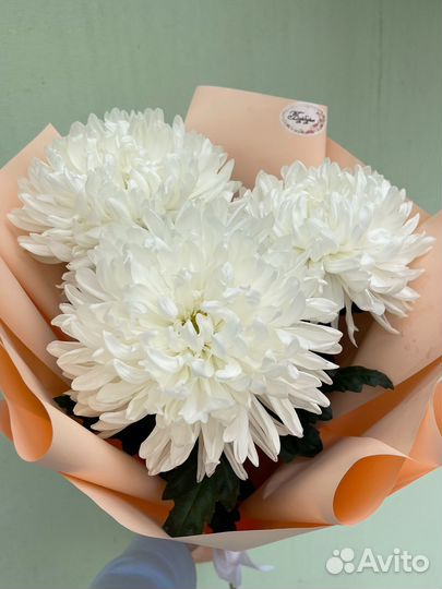 Букеты и композиции