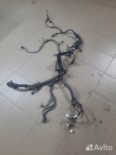 Проводка двигателя Toyota Camry 55 2arfe 2016