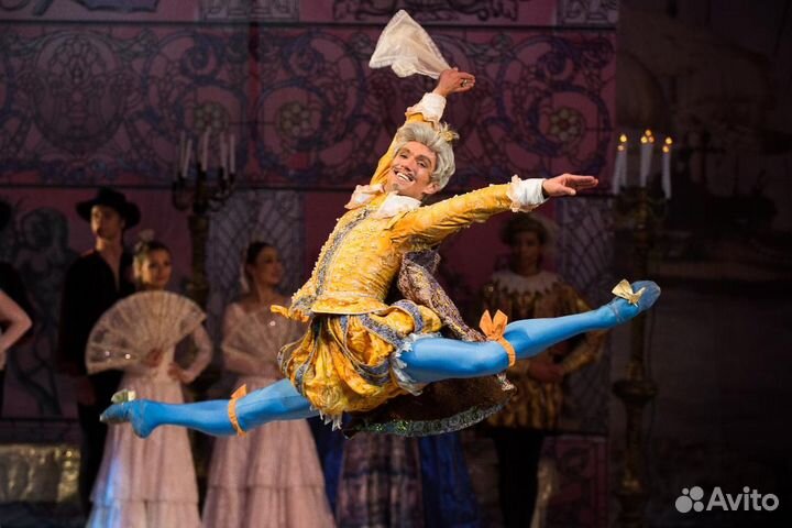 Билет на балет Дон Кихот