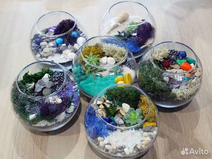 Мастер класс флорариум