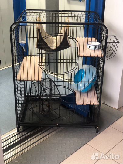Клетка для шиншилл хорька грызунов животных