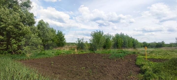 Дом 35 м² на участке 19,1 сот.