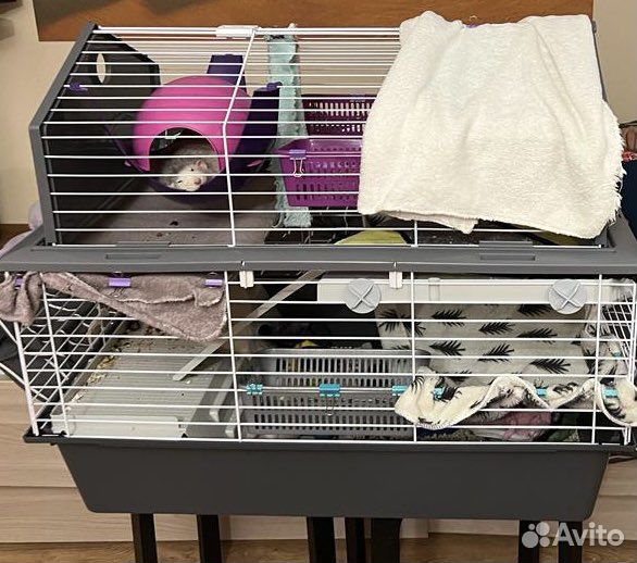 Клетка для грызунов ferplast