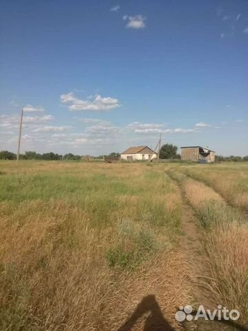 Подсобное хозяйство купить в Морозовске | Готовый бизнес и оборудование ...