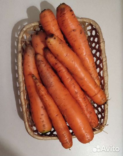 Морковь