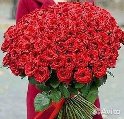 51 Роза, Букеты Цветы Розы 25 101 501 1001