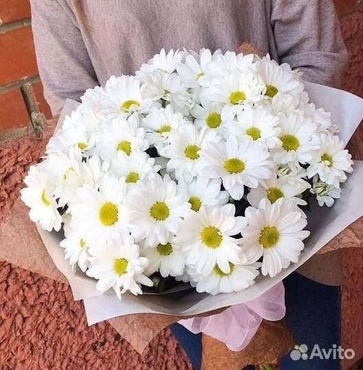 Хризантема. Букеты Цветы доставка